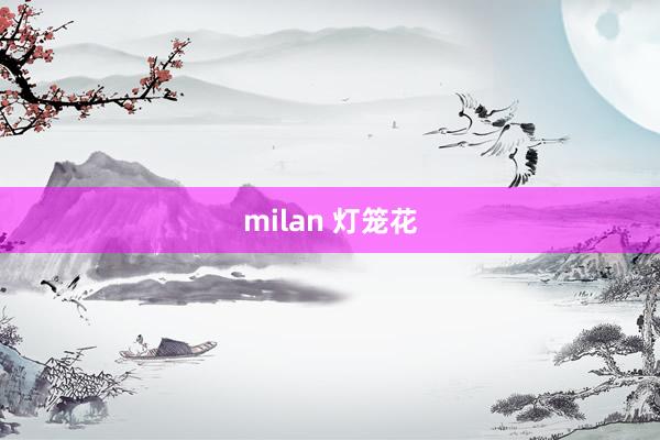 milan 灯笼花