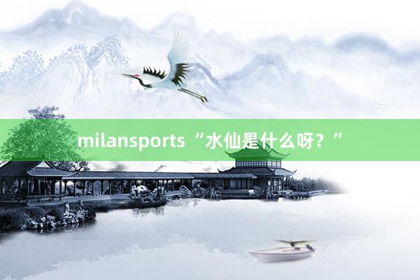 milansports “水仙是什么呀?”